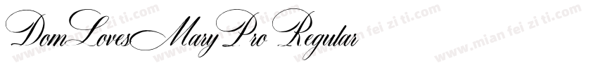 DomLovesMaryPro Regular字体转换
